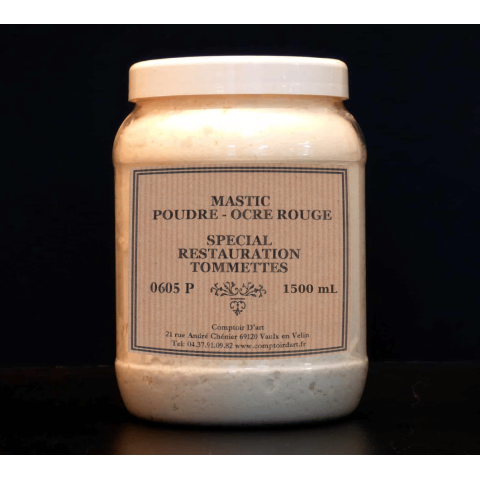 MASTIC POUDRE POUR LA REPARATION DES TOMMETTES - 0605P