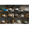 Acide Oxalique en Poudre (Sel d’Oseille) – Dégriseur bois et détachant métal | Comptoir d’Art